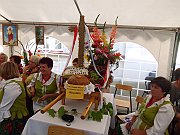IMG_0529