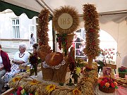 IMG_0534