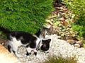 IMG_5496