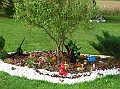 IMG_5474