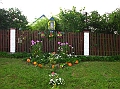 IMG_5481